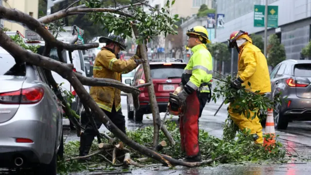 Three emergency workers wearing hardhats and PPE work to remove a tree branch fallen on a silver car