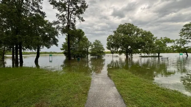 A large lake with water levels rising past trees and grass on the shore