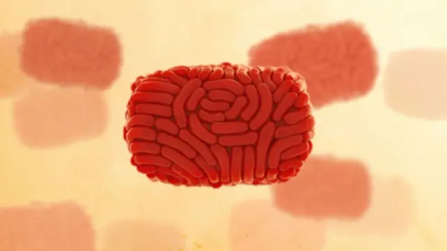 An image of a virus particle with several other small particles in the background