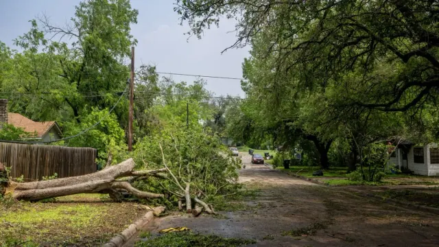 A tree fallen on a road that is filled with debris after a storm in Texas in 2024.