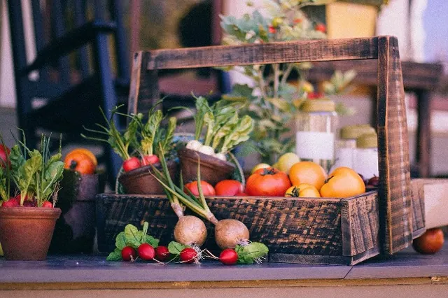 Illustrative arrangement of tomatoes, radishes, onions and other vegetables in a wooden crate and pots.