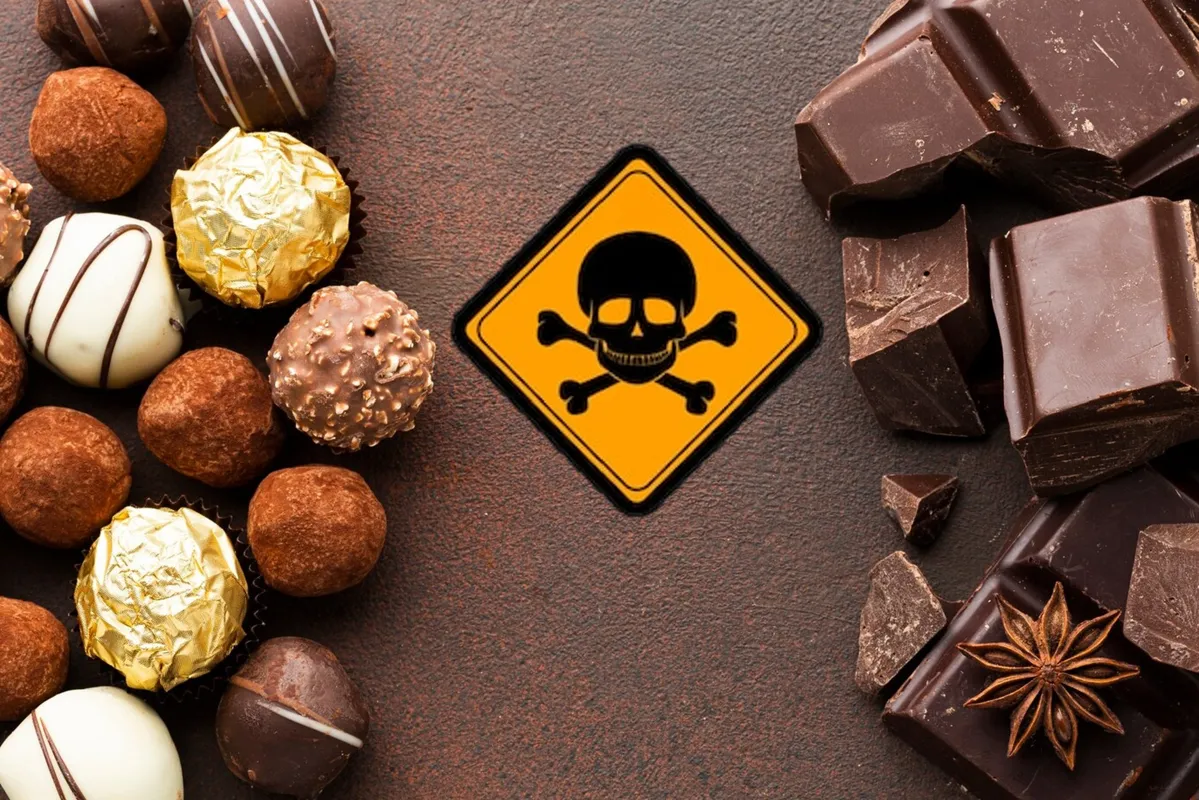 Chocolates on both sides and toxic sign in the center