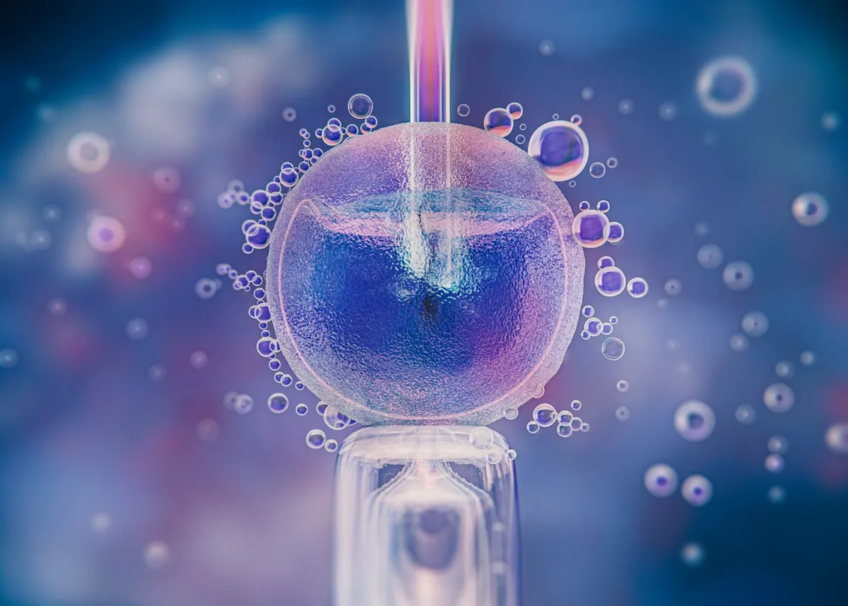 IVF concept, blue, purple and pink color scheme