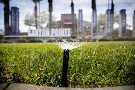 A lawn sprinkler near landscaping; illustrative archive photograph.