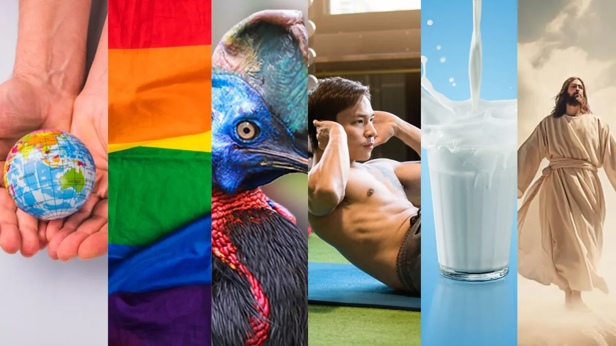A photograph of hands holding a mini globe/A rainbow flag/Photograph of a bird that looks like a dinosaur/A man exercising in the gym/A glass of milk against a blue background/A digital illustration of Jesus