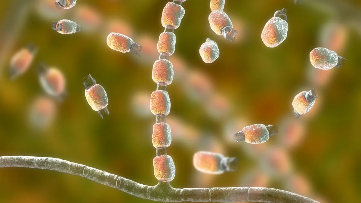 Deadly Fungal Infection Hits California Music Festival Attendees
