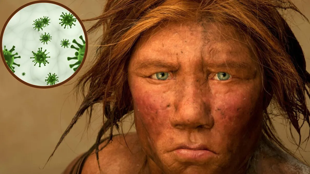 The Neanderthal woman was re-created and built by Dutch artists Andrie and Alfons Kenni/A digital depiction of germs