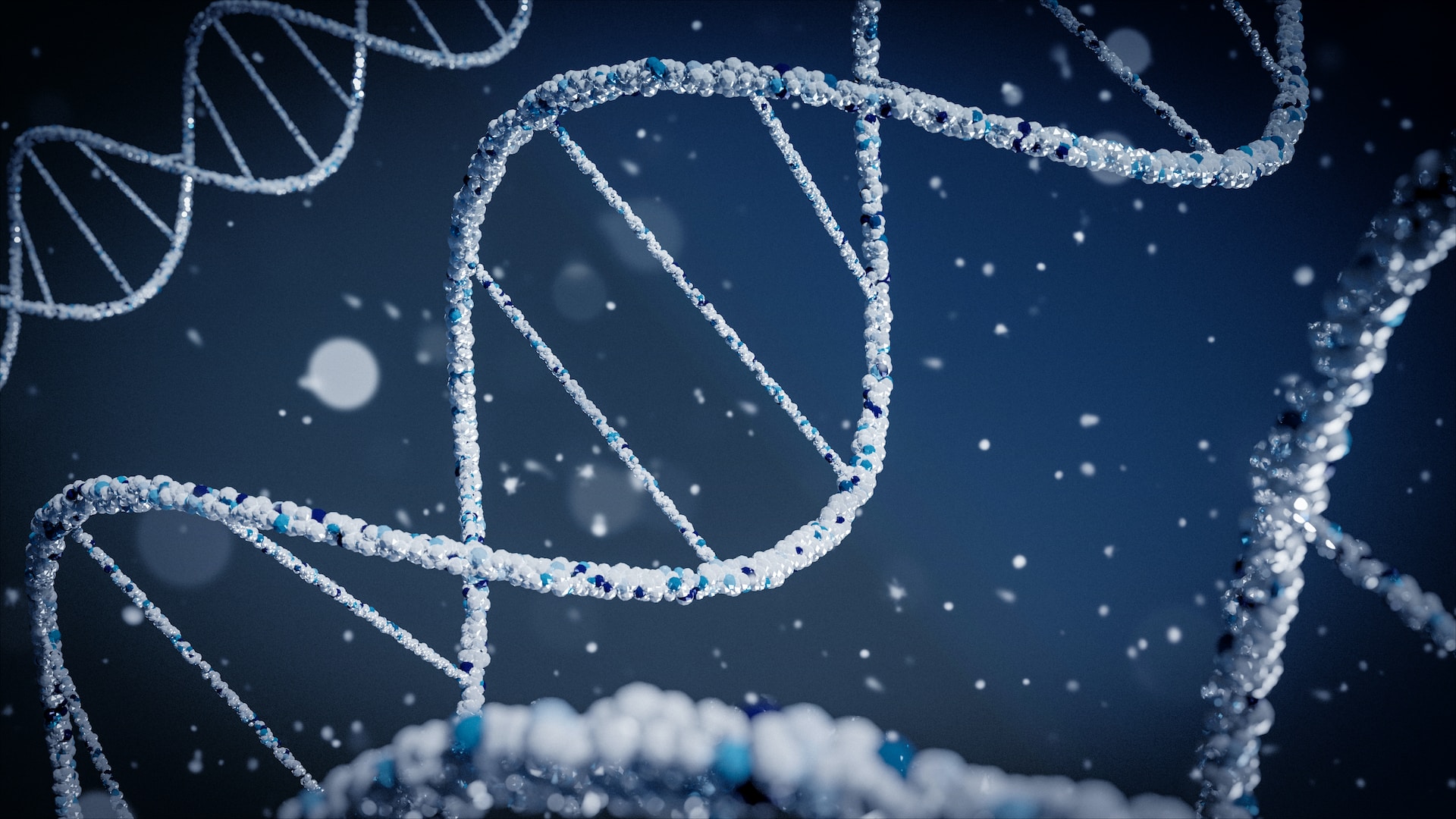 A DNA illustration, not an image of Fairchild’s test results