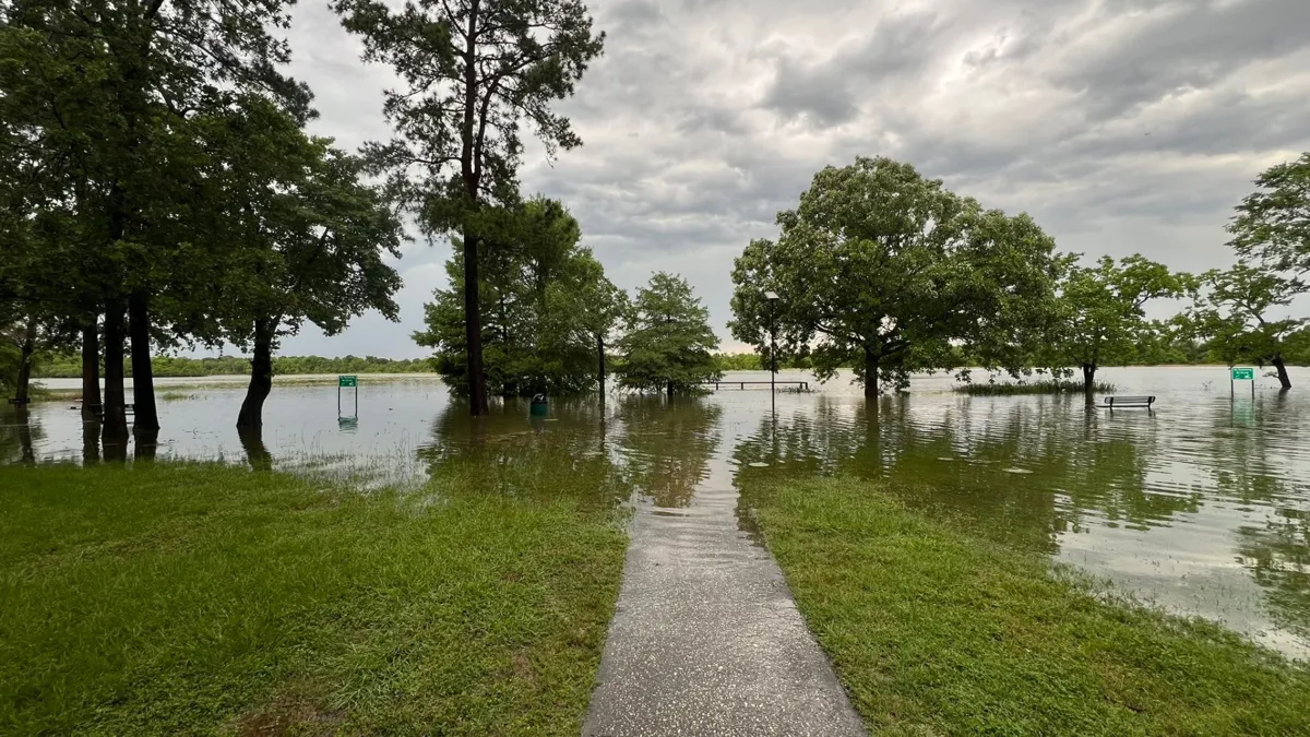 A large lake with water levels rising past trees and grass on the shore