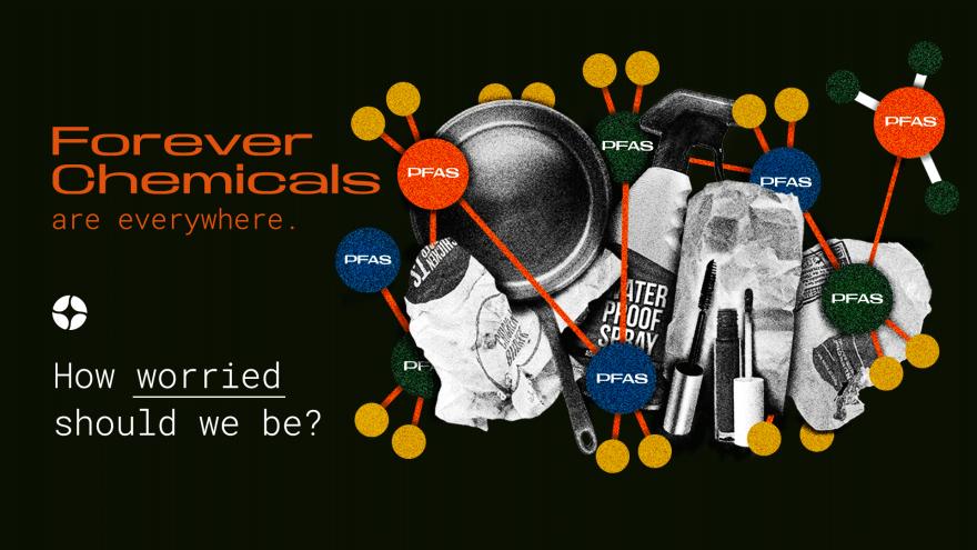 Illustrative archive graphic about PFAS; not an assay of pictured products.