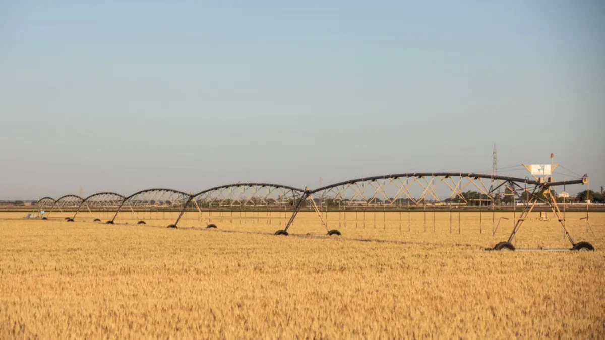 A dry piece of land with a large row of irrigation watering spigets