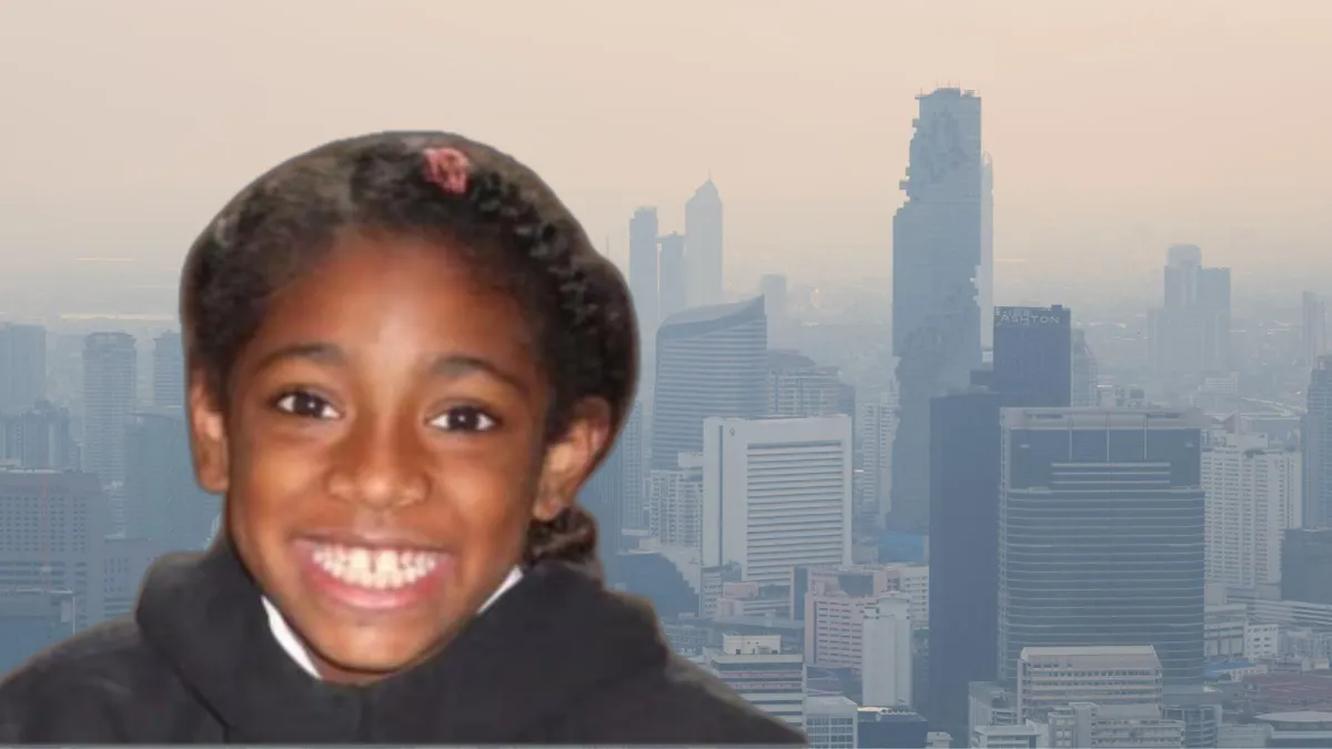 A photograph of Ella Adoo-Kissi-Debrah smiling before she died/A photograph of air pollution in a city