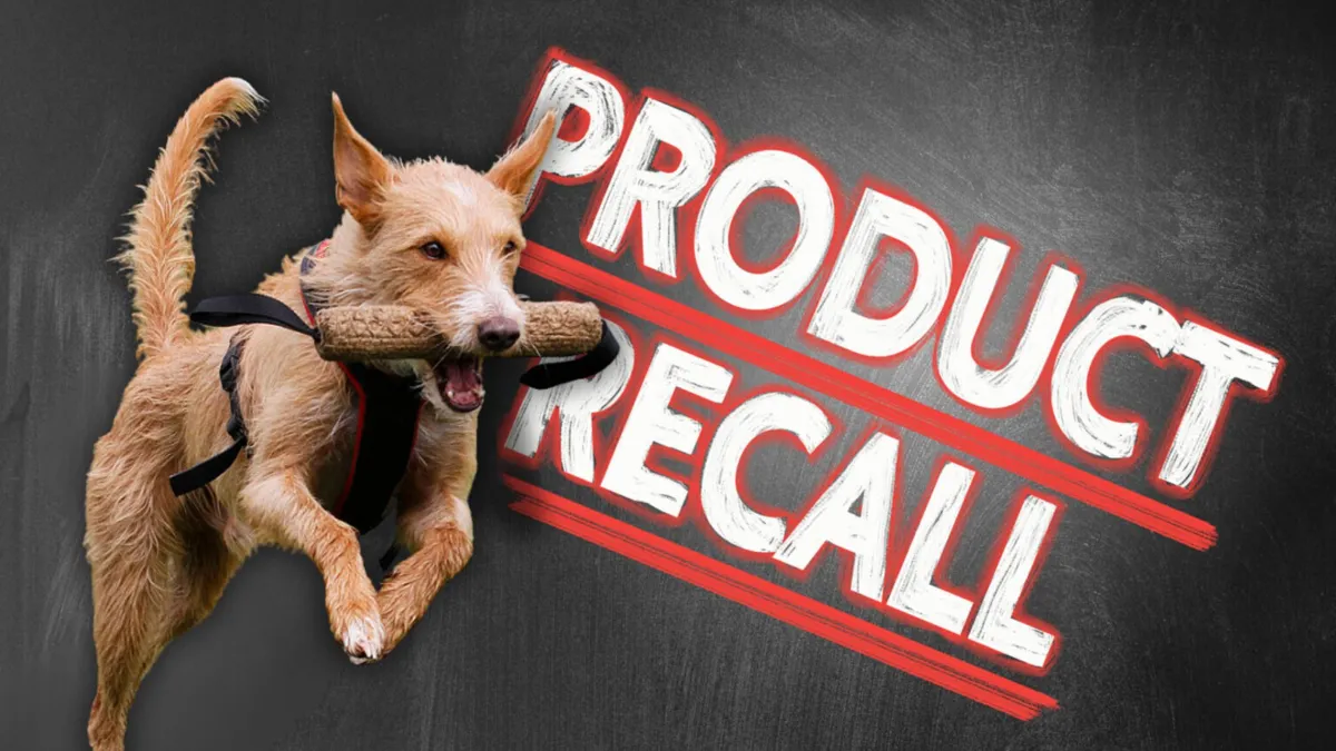 A dog jumping with a toy in its mouth over a product recall logo
