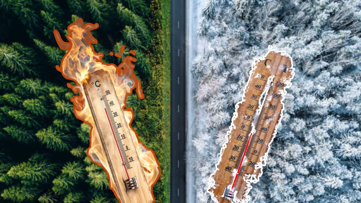 An aerial photograph of a forest cut in half by a road, showing green trees on one side and snowy white trees on the other/A thermometer on fire showing high temperatures/An icy thermometer showing low temperatures