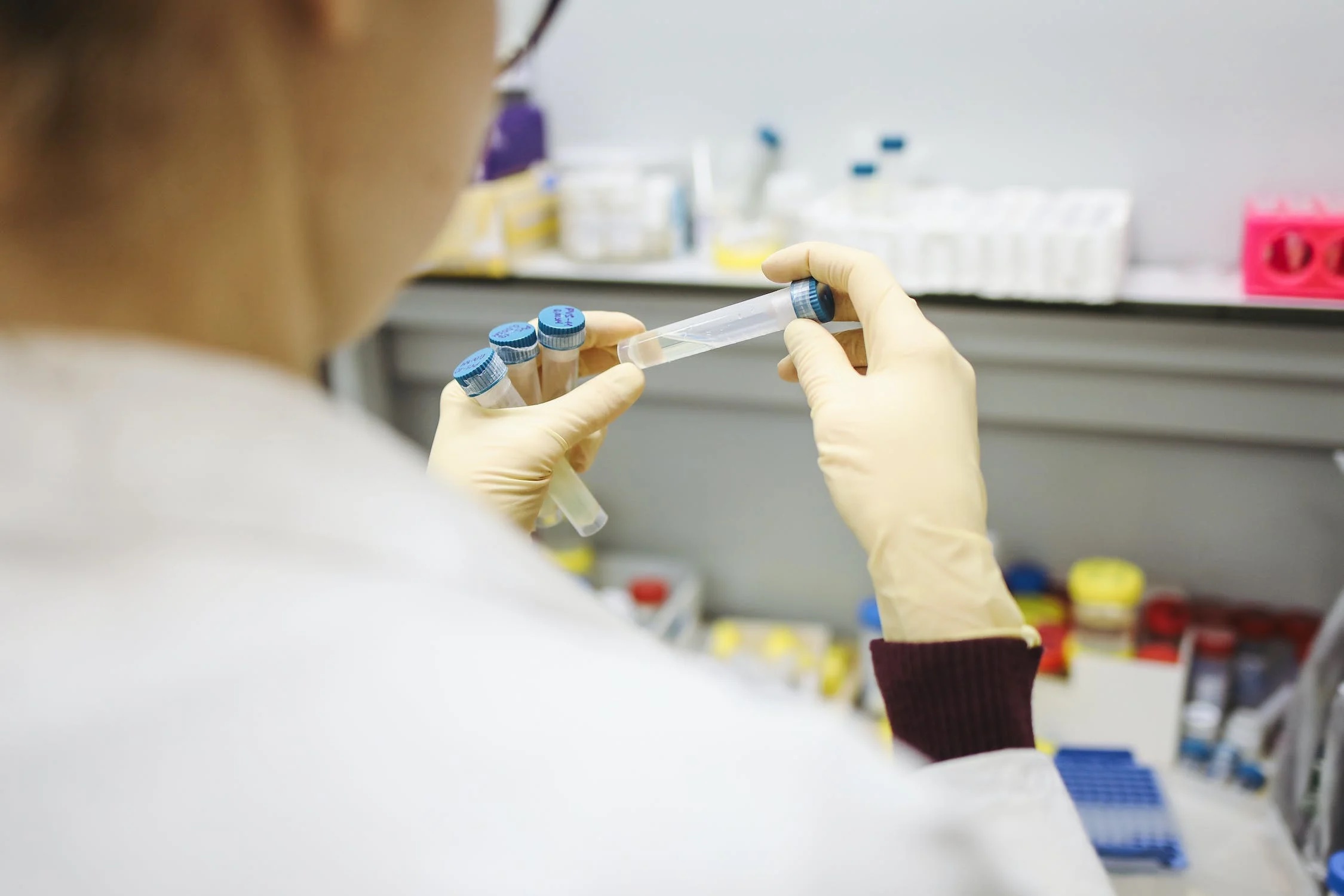 Gloved hands handling a laboratory sample