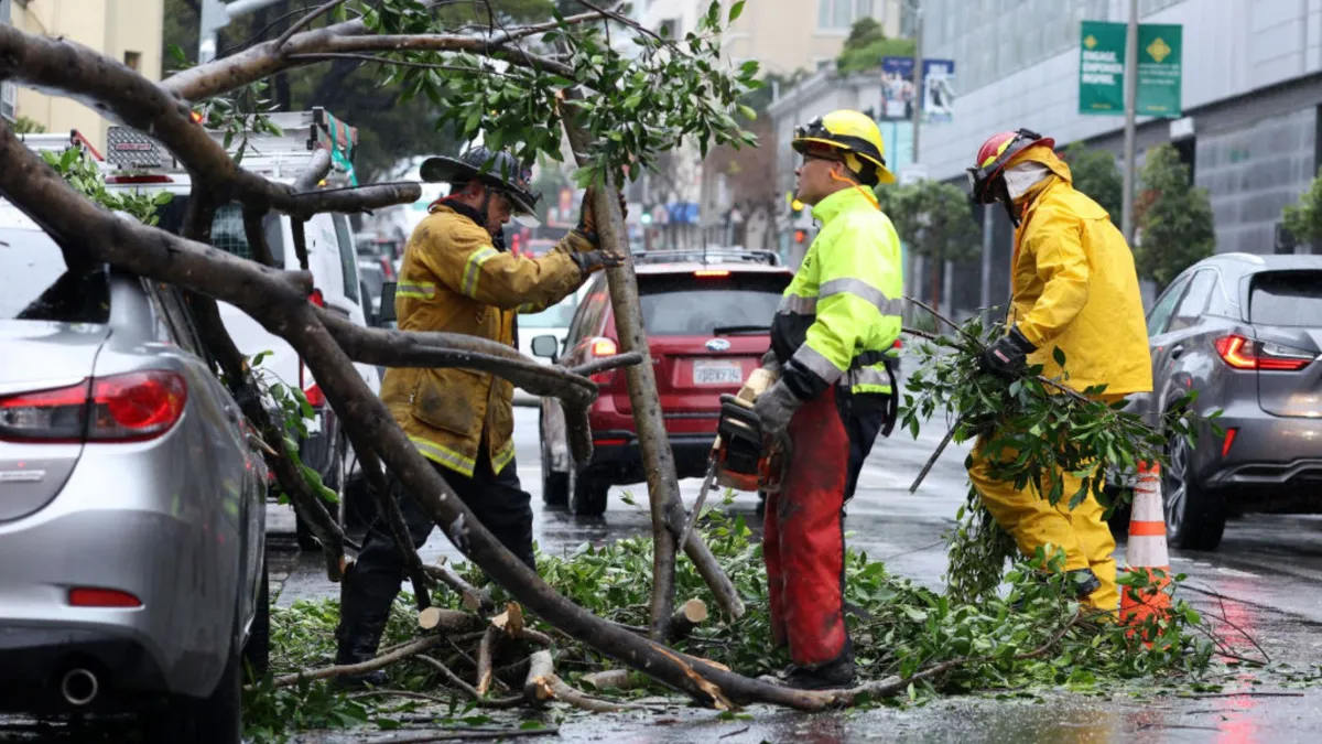 Three emergency workers wearing hardhats and PPE work to remove a tree branch fallen on a silver car