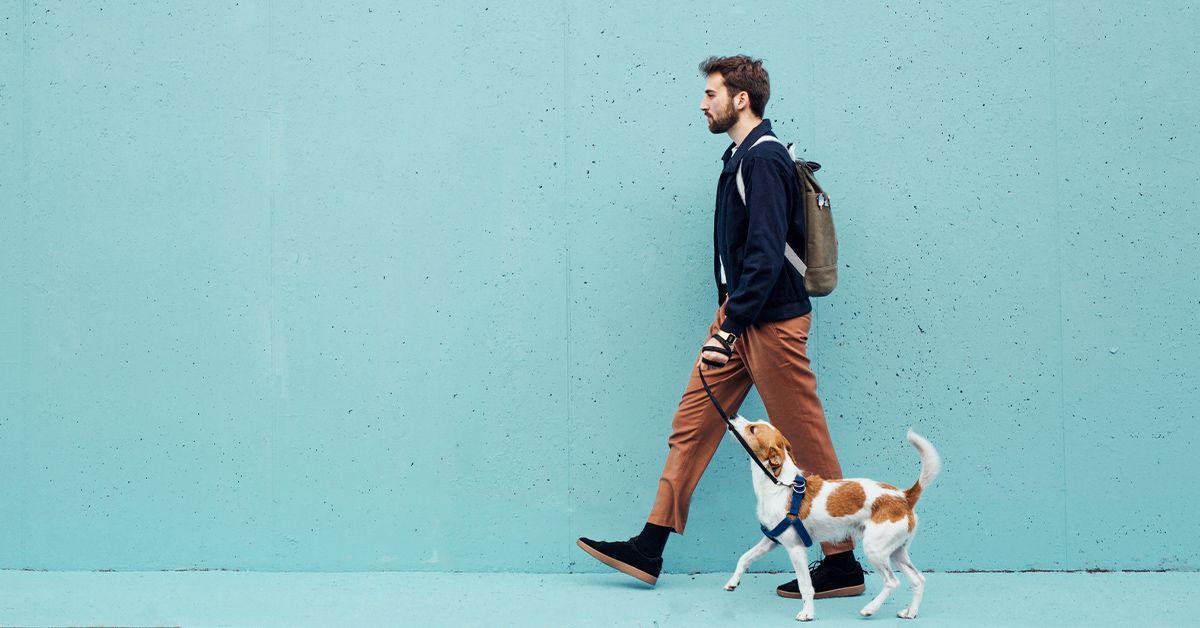 A person walking a dog; illustrative archive photograph.