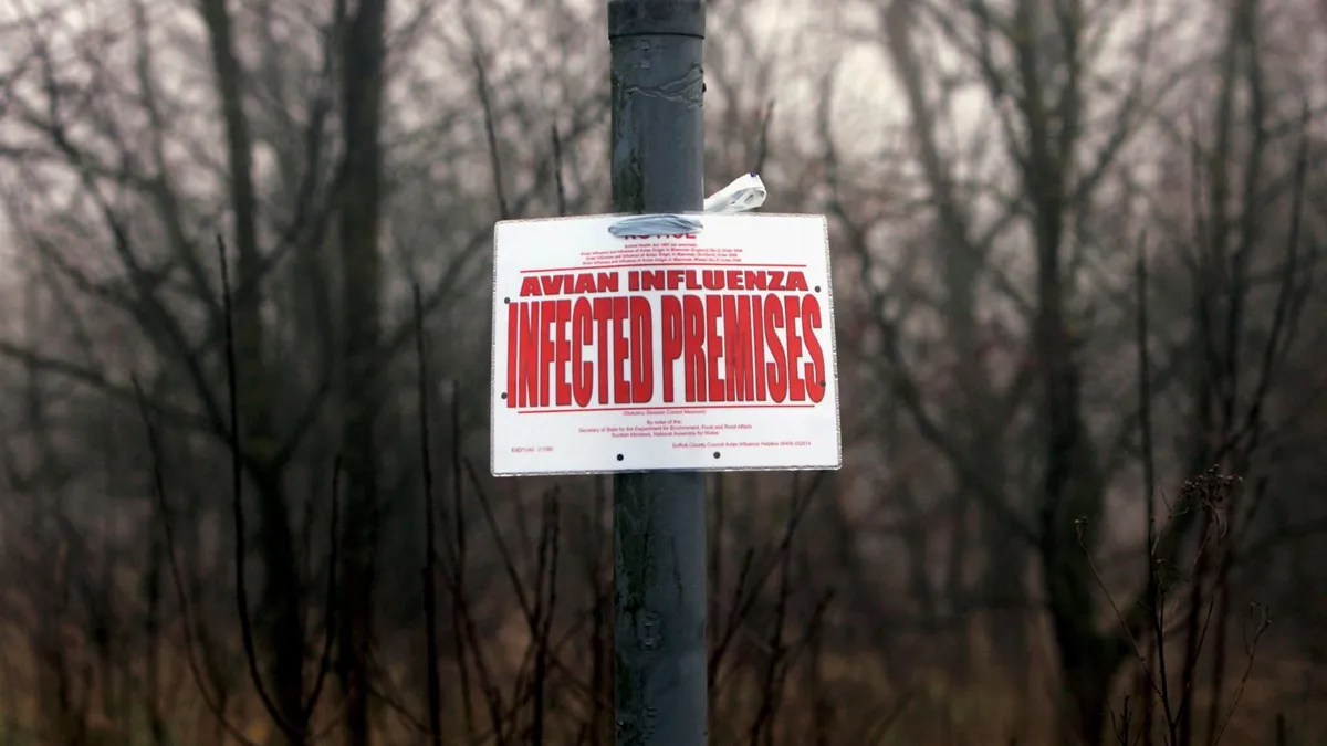 A bird flu white and red sign on a pole seen outside in front of trees.