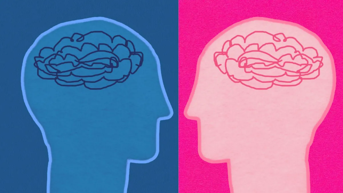A side-by-side illustration of a skull with scribbles in the brain in blue and pink, representing men and women