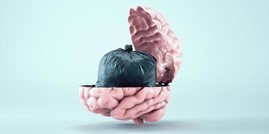 Illustrative archive brain image; not a newly reported participant scan.