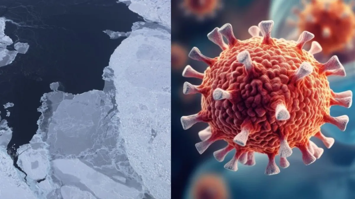 Sea ice is seen from NASA's Operation IceBridge research aircraft off the northwest coast of Greenland / Scientists dressed in blue protective gear stand behind an illustration of certain bacteria