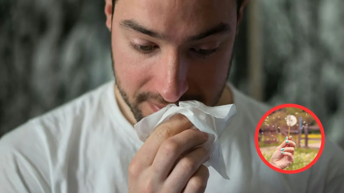 A man wiping his nose with a white tissue; a person holding a white dandelion flower.