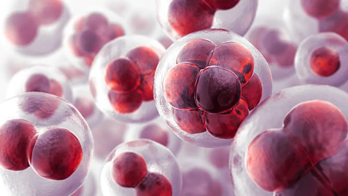 A digital illustration of cells within the human body