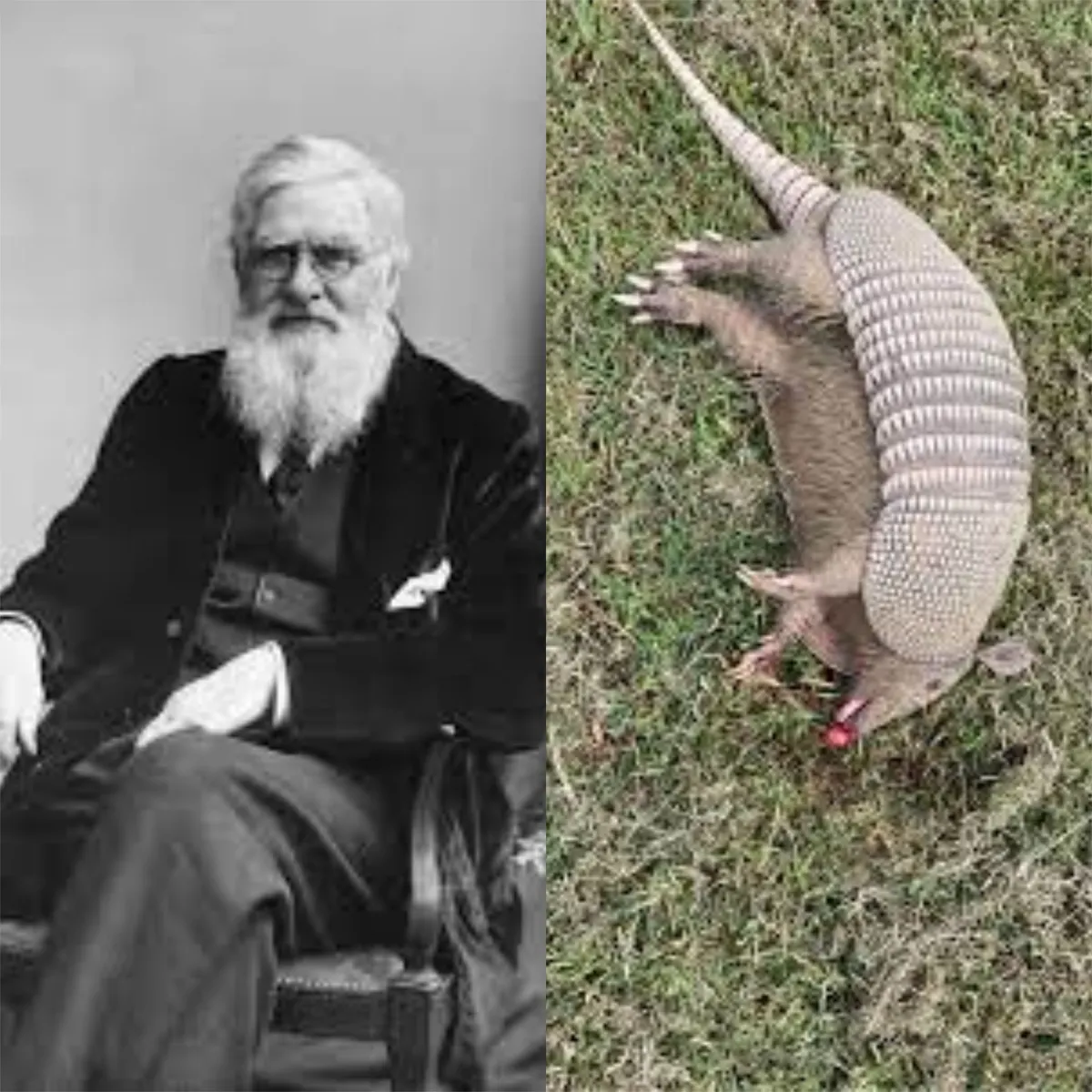 The Favorite Foods of These Historical Figures is Unnerving