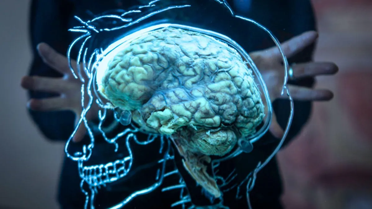 A person holds their hands out around a digital illustration of a skull with the human brain clearly visible