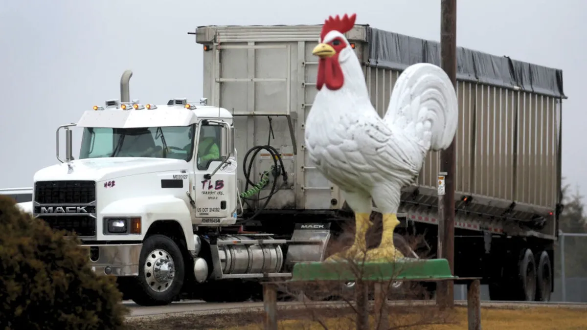 A large chicken statue with a truck behind it