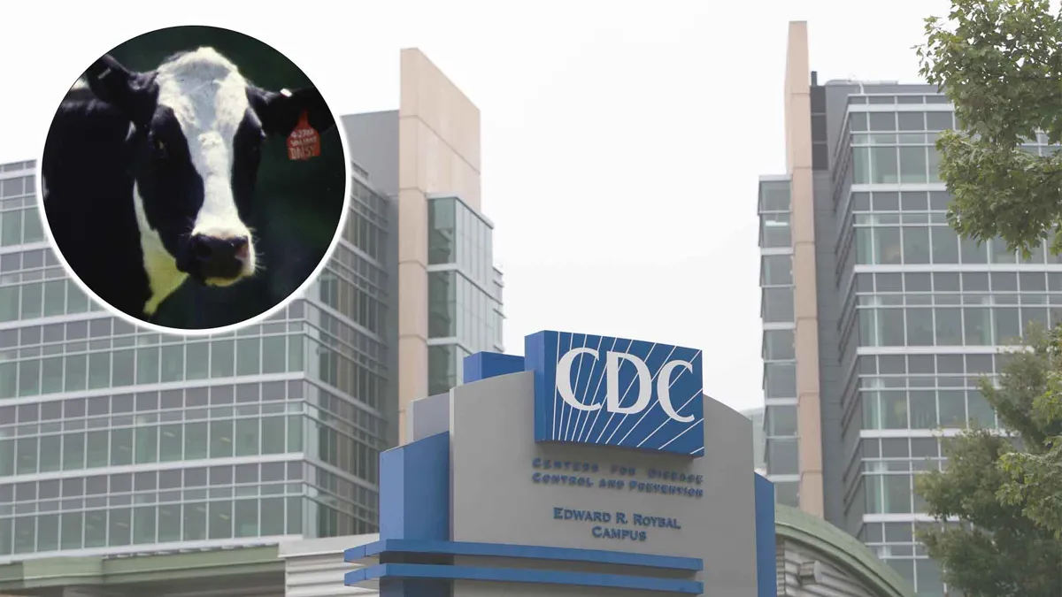 Exterior of the Center for Disease Control (CDC) headquarters with cow overlaid