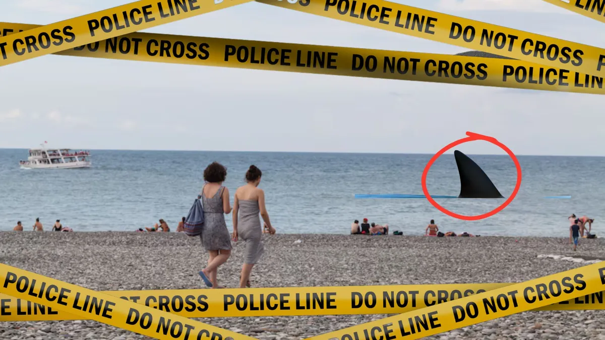A photograph of several people on a beach with a red circle around a shark fin in the ocean/Several lines of yellow police tape
