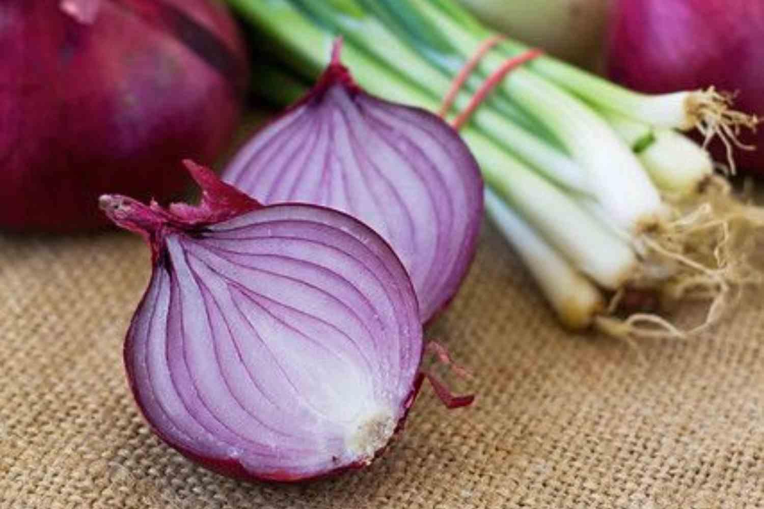 Whole and cut onions in an archive photograph.