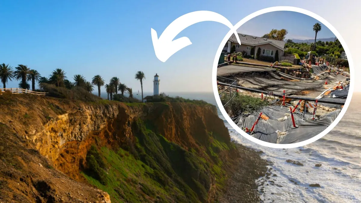 A cliff on the side of the ocean with palm trees imposed with a photo of a large sink hole in the middle of a residential street