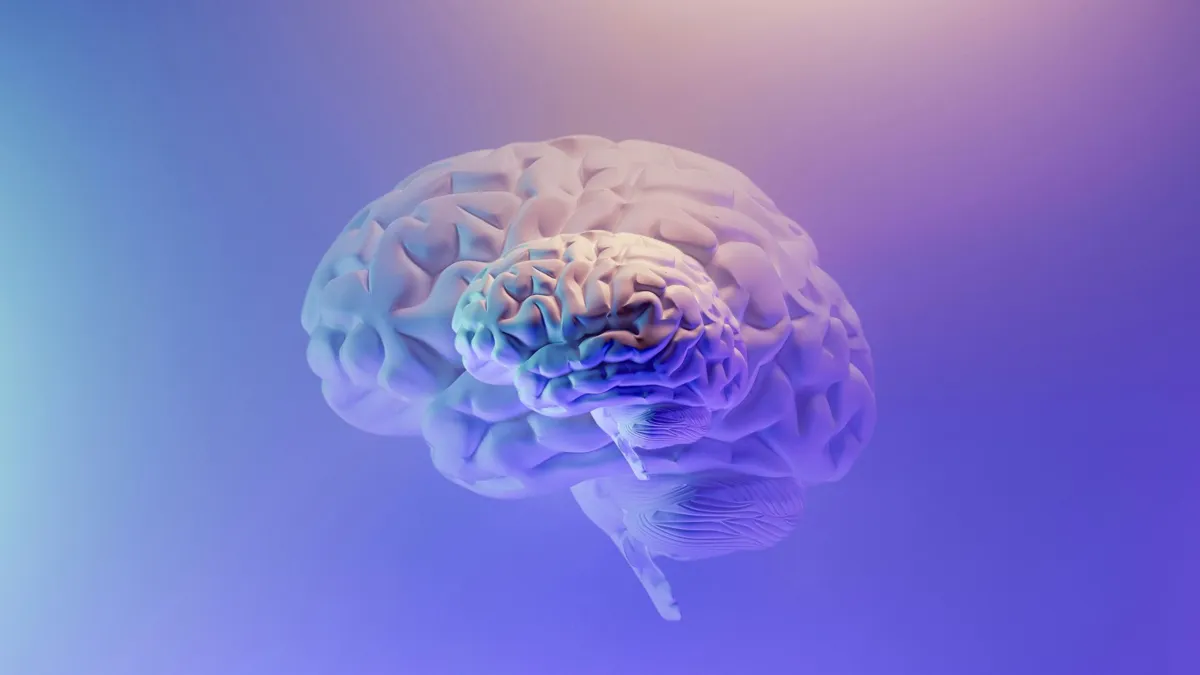 A large purple brain with a duplicate of a smaller brain on the inside against a purple background