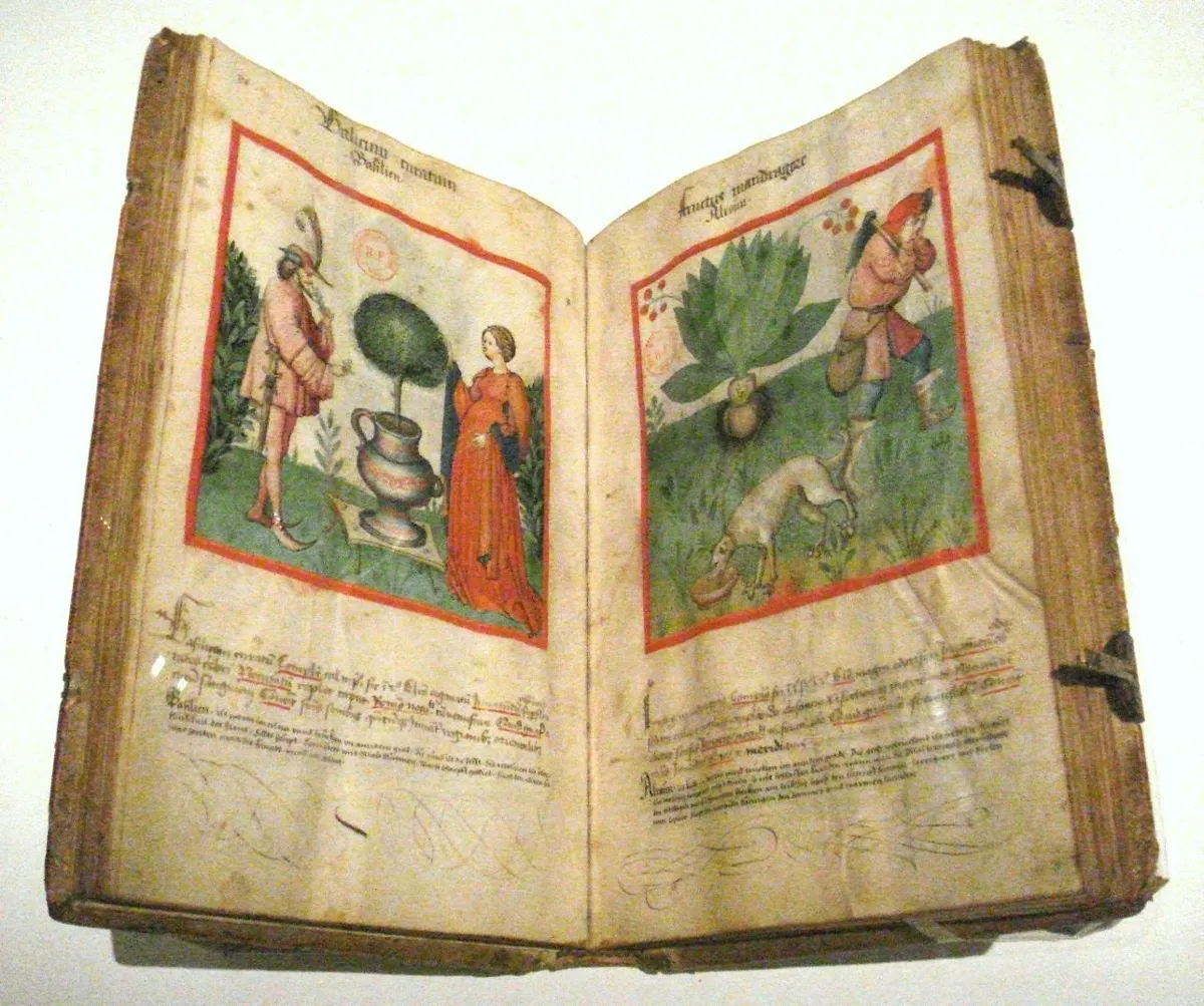 The Medieval Manuscript: An Ancient Guide to Health and Wellness