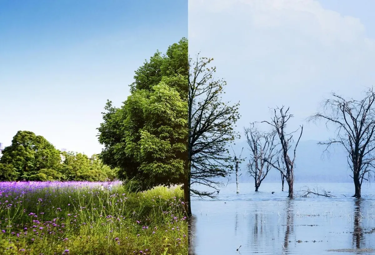 Side-by-side photographs of the effects of climate change
