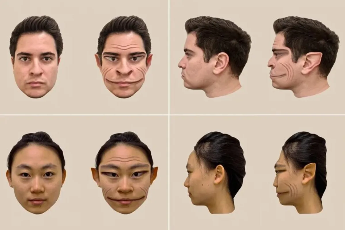 Four images show what those who suffer from PMO see when they look at a face/Images depicting what those who suffer from PMO see during their everyday life