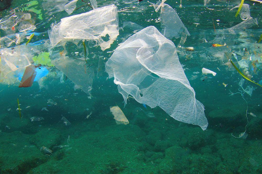 Plastic waste in water; illustrative archive photograph.