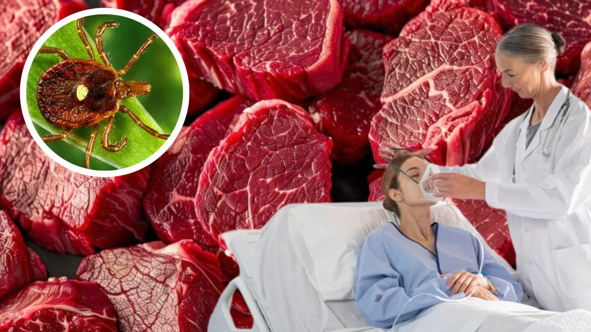 A close-up photograph of a lone star tick/A photograph of several pieces of raw red meat/A doctor places an oxygen mask on a hospital patient