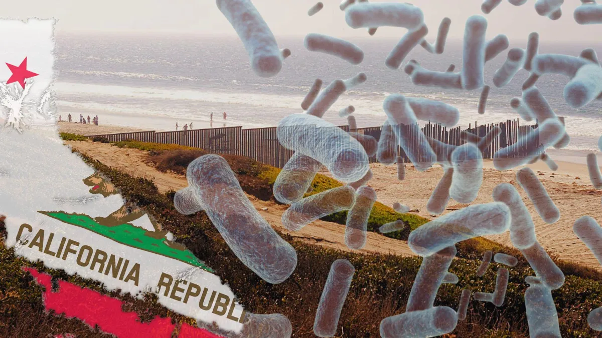 A photograph of the fence separating the Mexico and US sides of Imperial Beach in San Diego, California/California flag in the shape of the state/Several microscopic bacteria