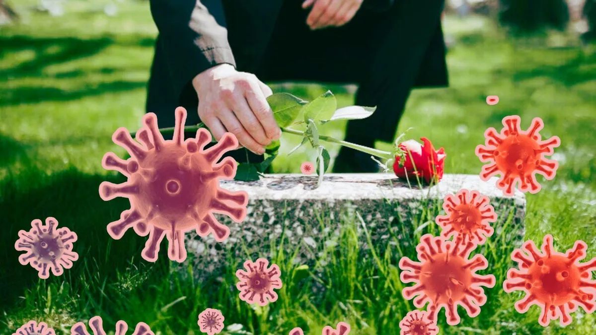 A faceless man places a red rose on a headstone in a cemetery/A digital illustration of disease