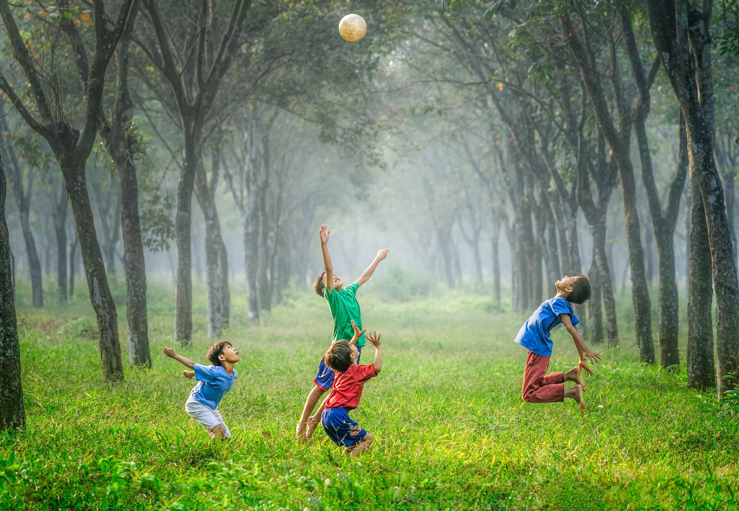 Children playing with a ball among trees