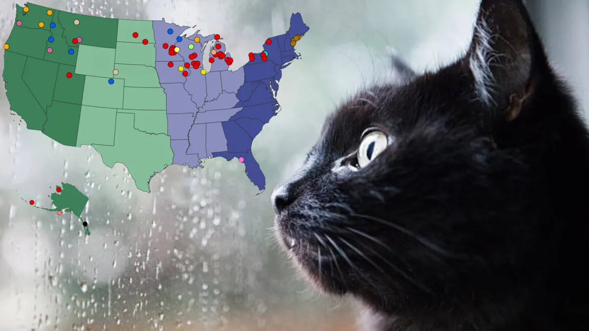 Close-up of the side of a black cat's face looking out of a window. Top left shows map of USA with markers