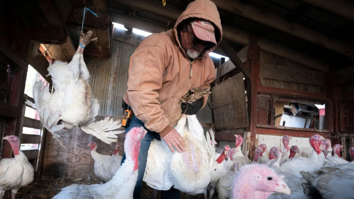 A man in a brown jacket holds a turkey while surrounded by white birds in a small hen house