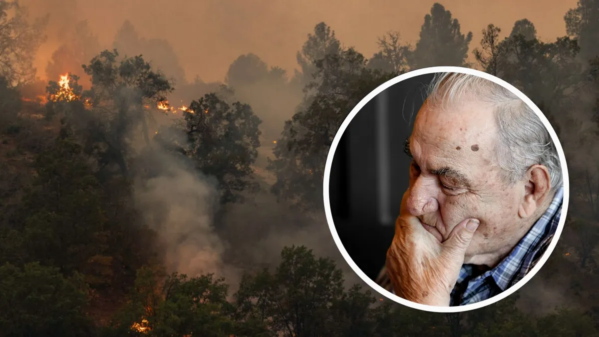 A large image of a forest fire with a picture of an old man imposed over it
