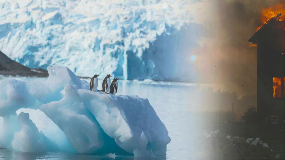 Three penguins stand on the edge of a small ice berg with a burning house imposed onto the photo