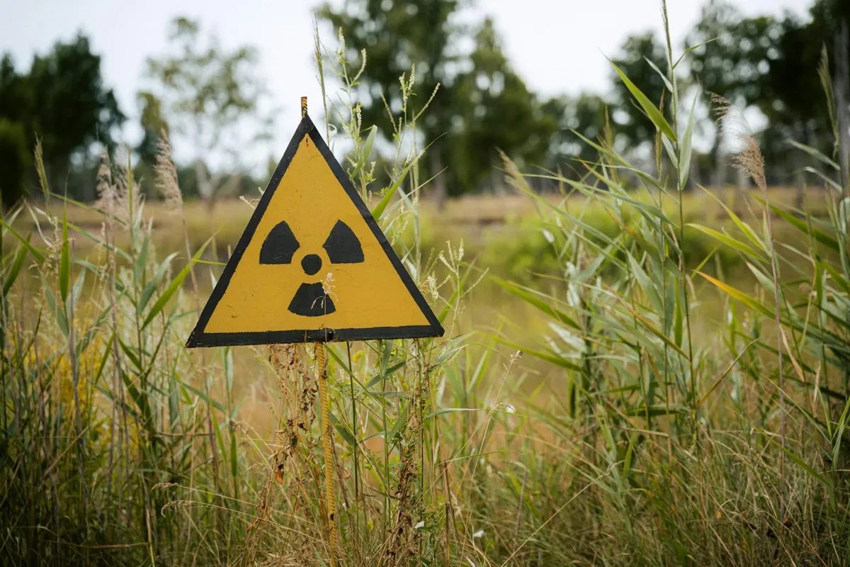 A black and yellow radioactive warning sign in the middle of green plants