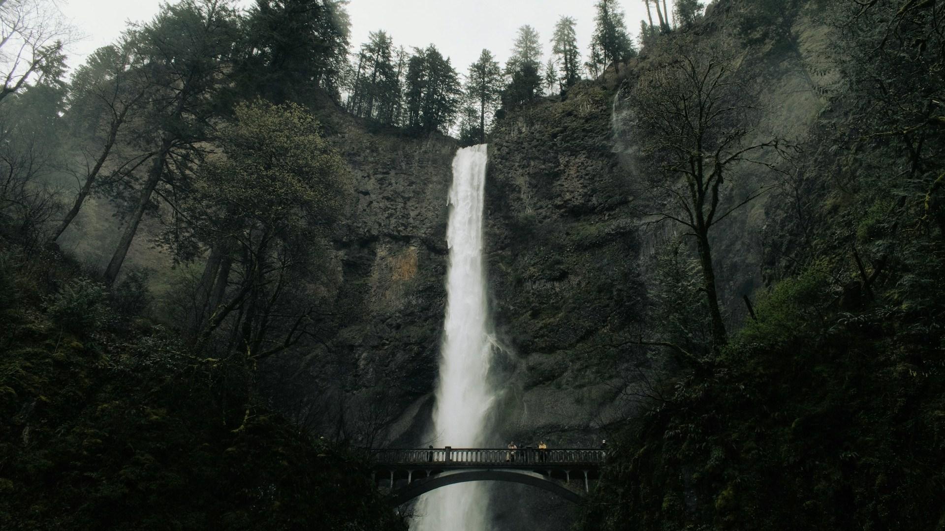 A wooded waterfall; illustrative archive landscape, not the incident location.