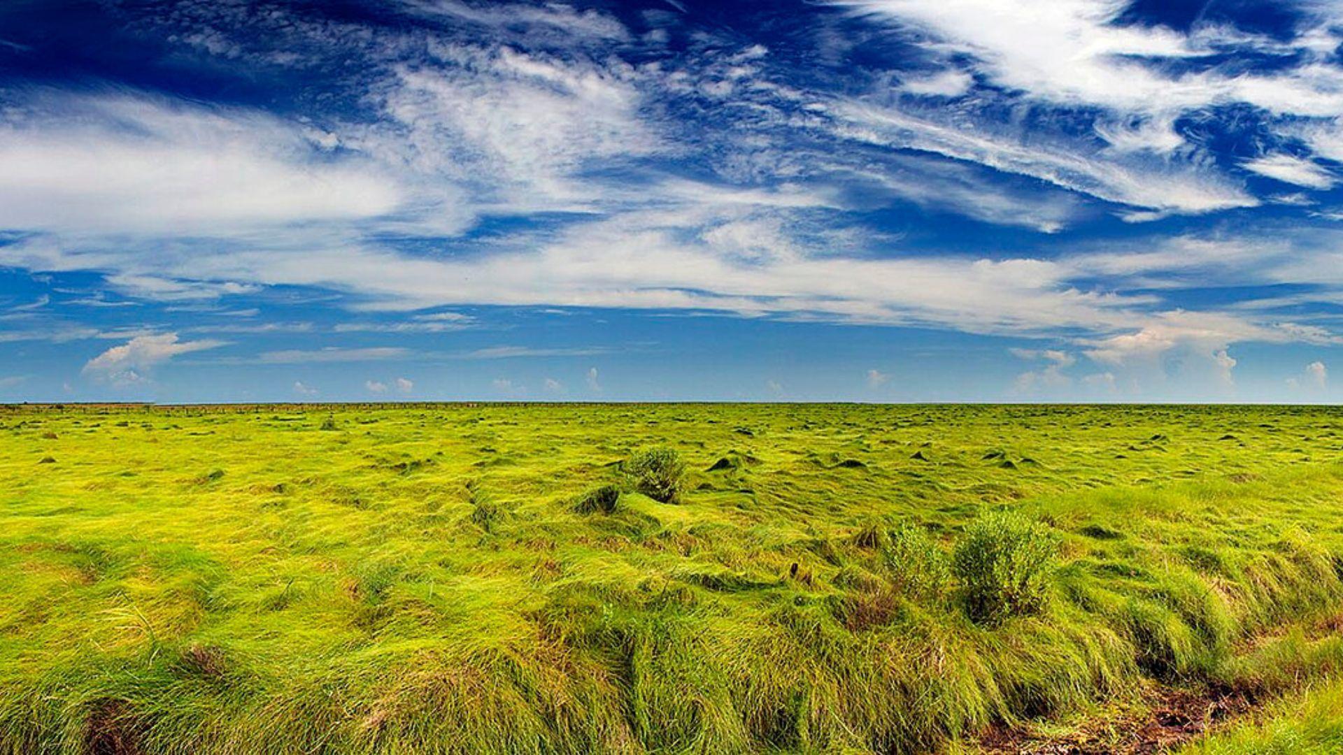 Open grassy landscape beneath clouds in an illustrative archive photograph.